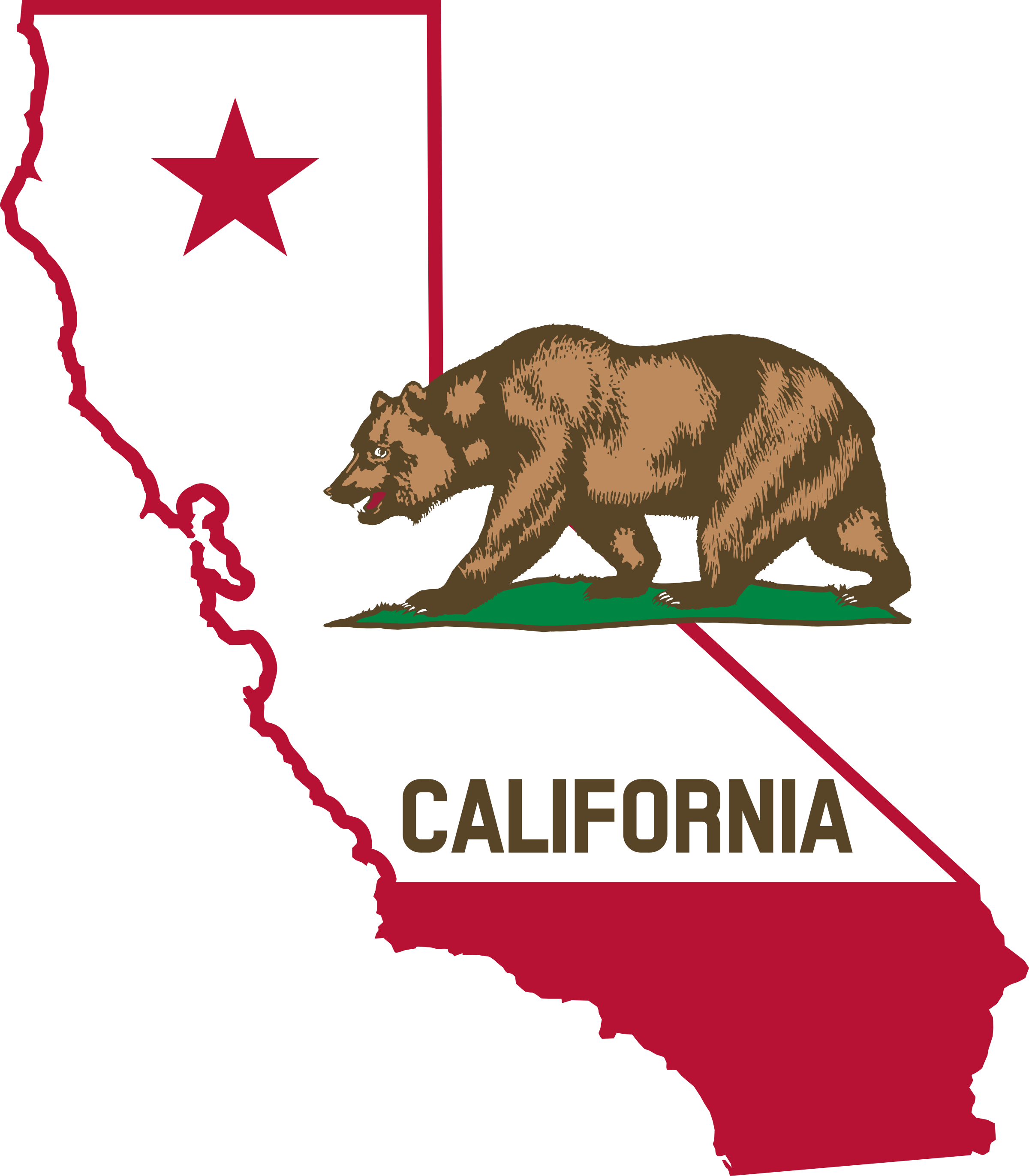 MS C# VS programming california it shop